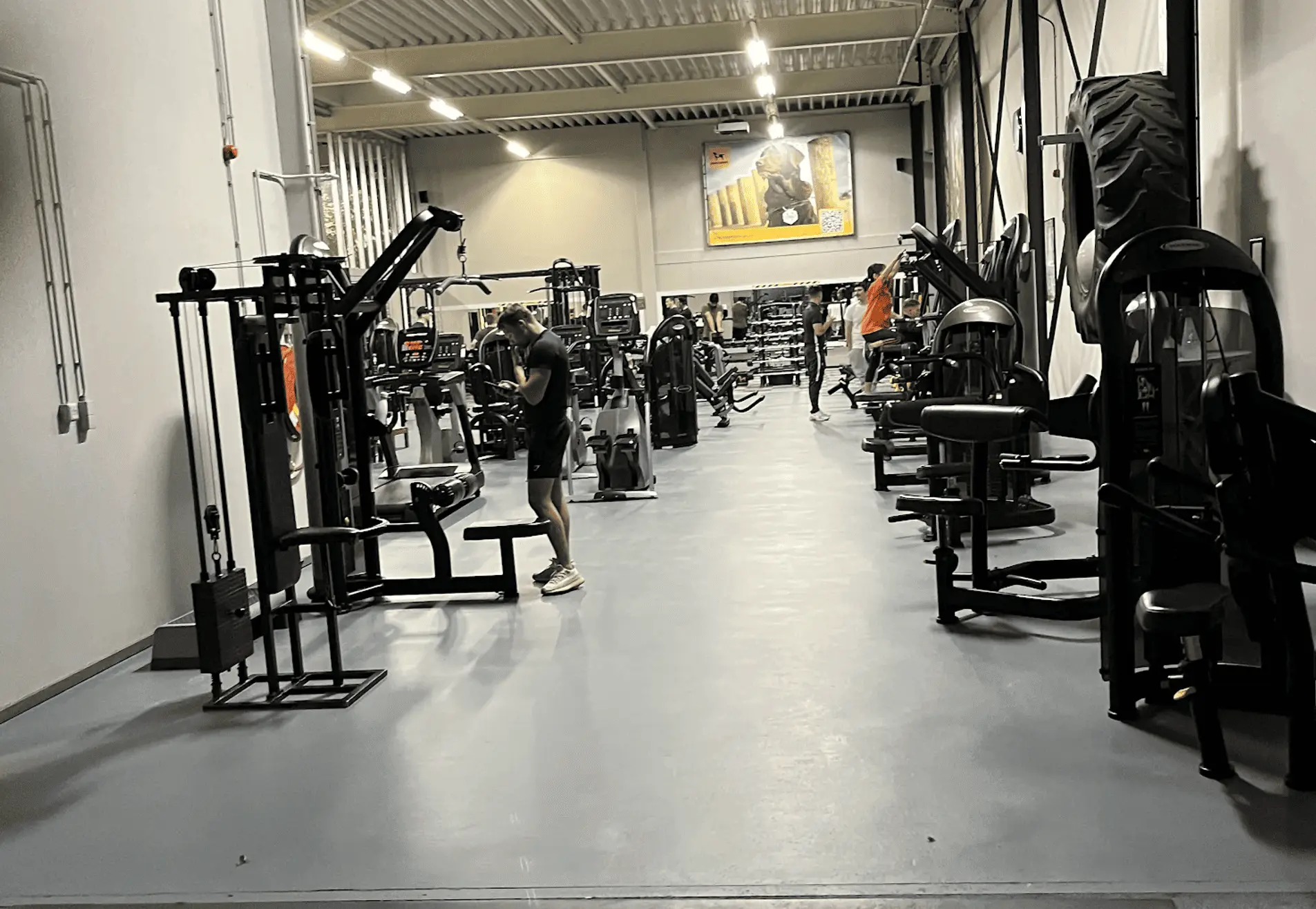Lucas Fitness IJsselstein