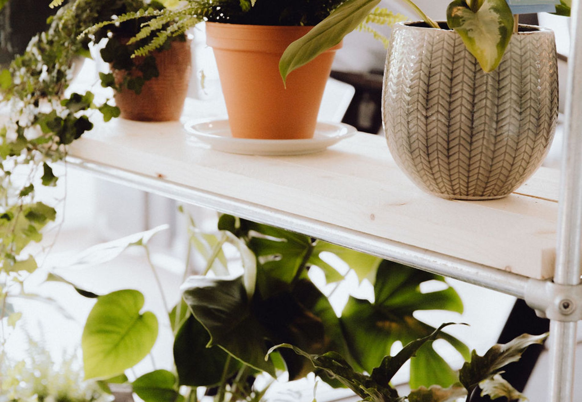 Club Karakter Castricum