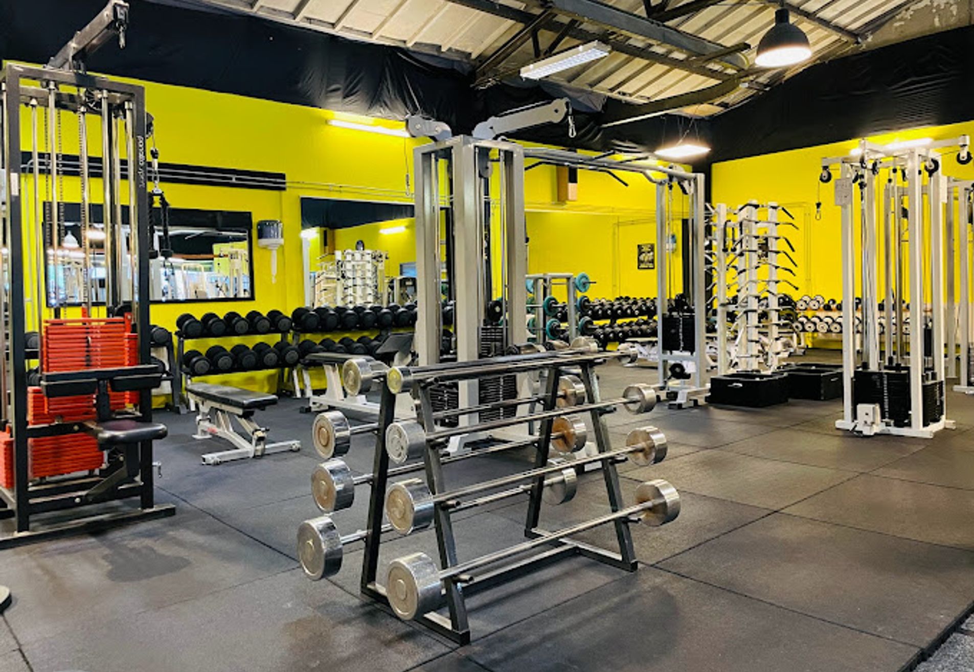 Gorilla Gym Vlissingen