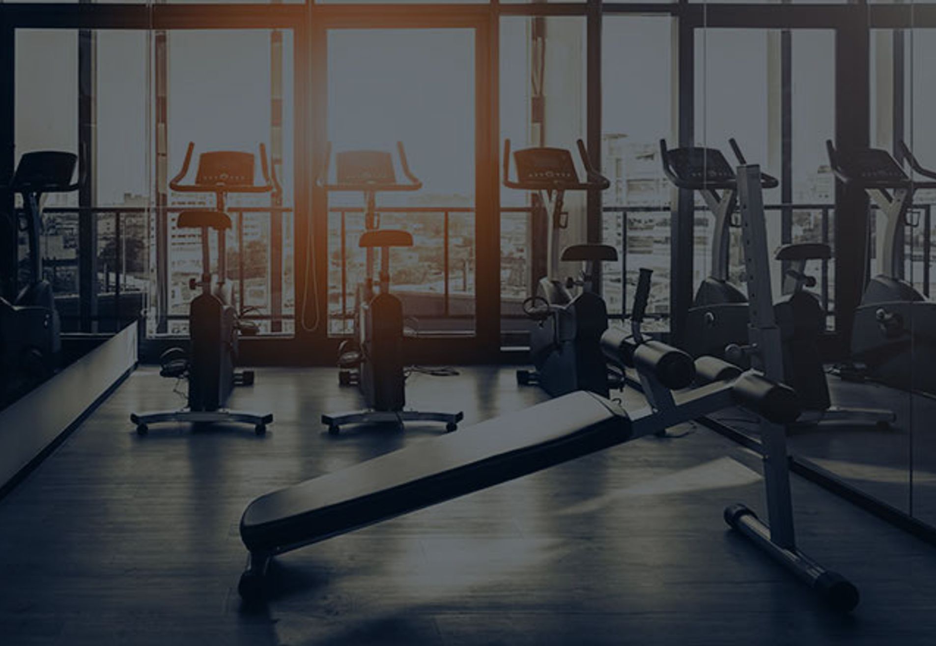 Living Well Sport & Fitness Gouda XL