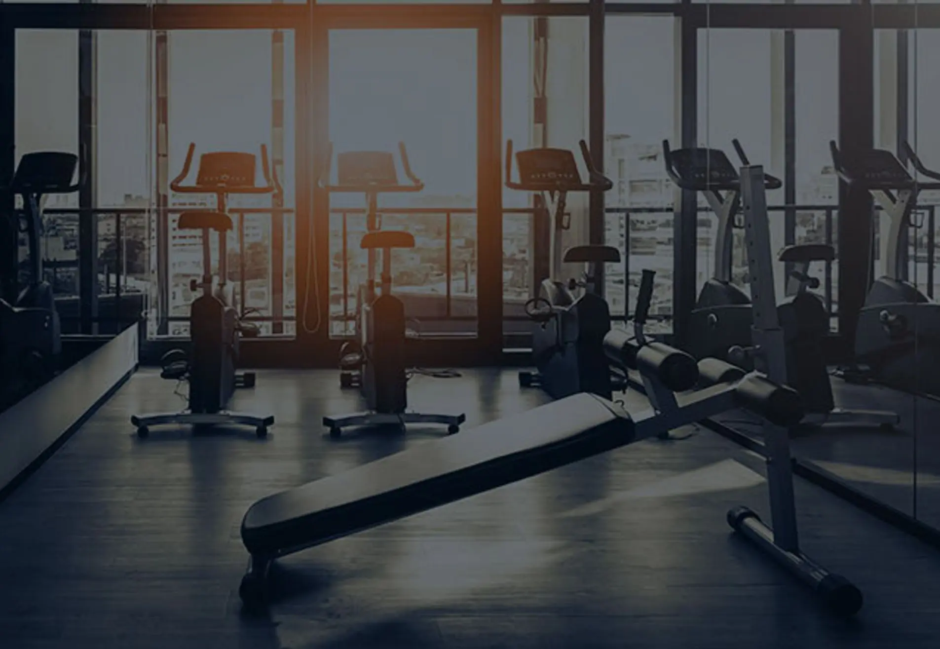 Living Well Sport & Fitness Gouda XL