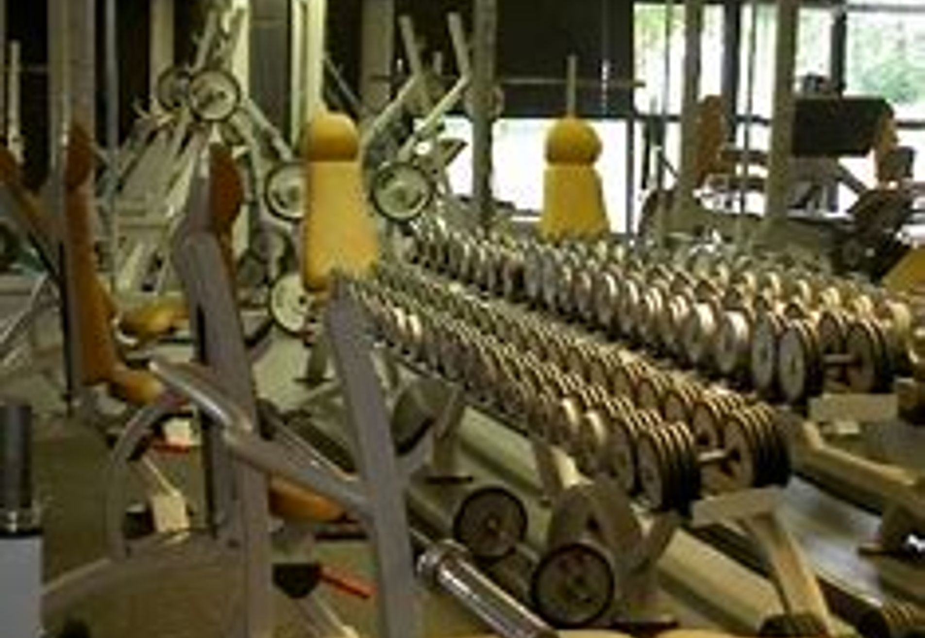 Gym Inn Lelystad