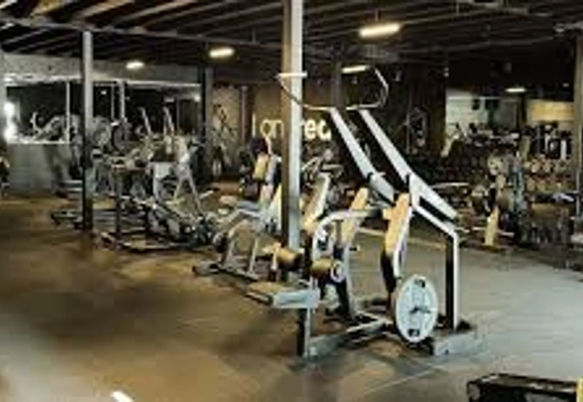 The Real Gym Bilthoven