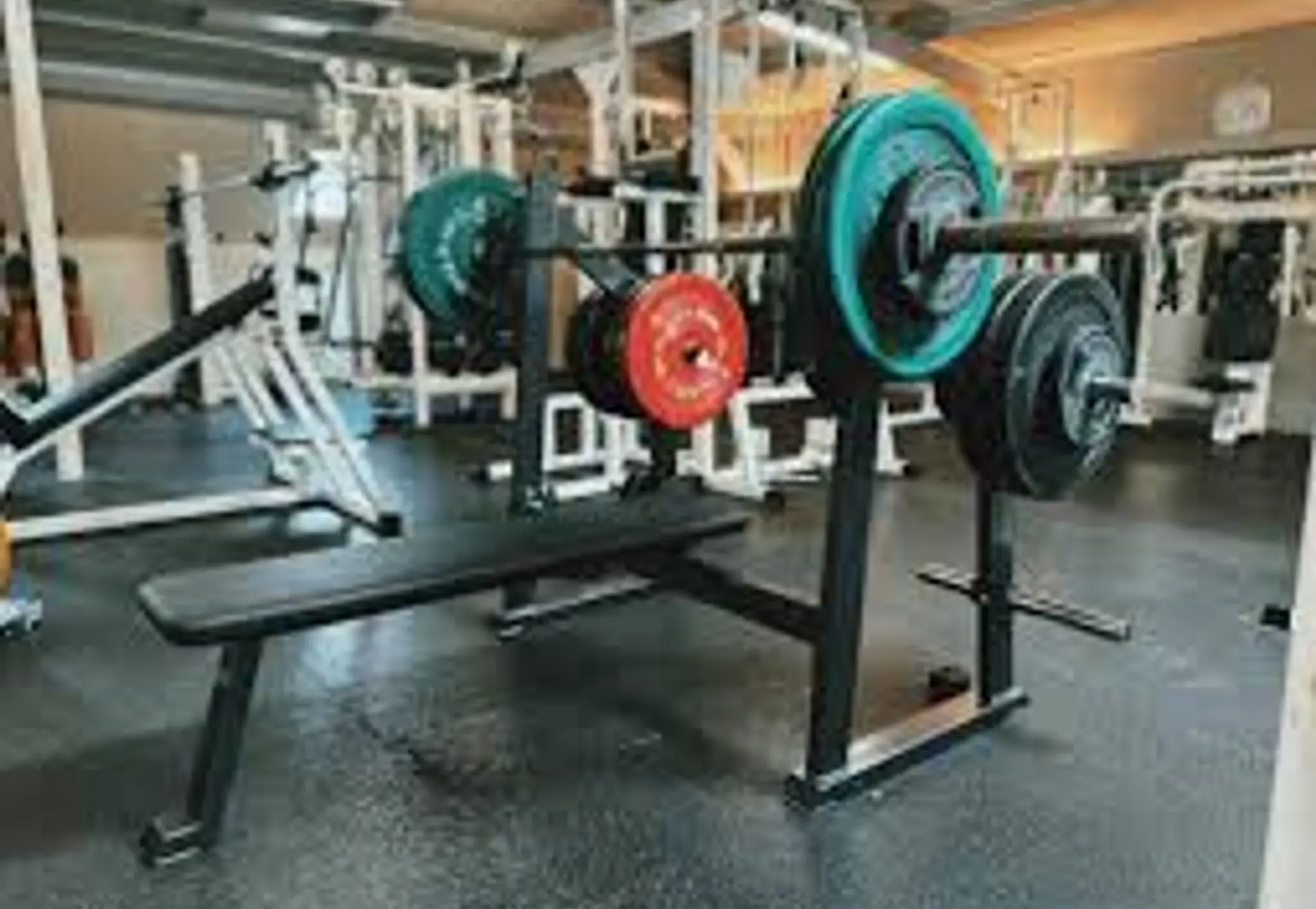 Fitness L.K.V. the Spartan