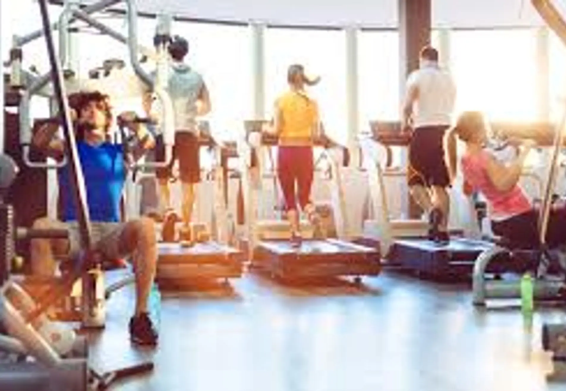 Fitness L.K.V. the Spartan