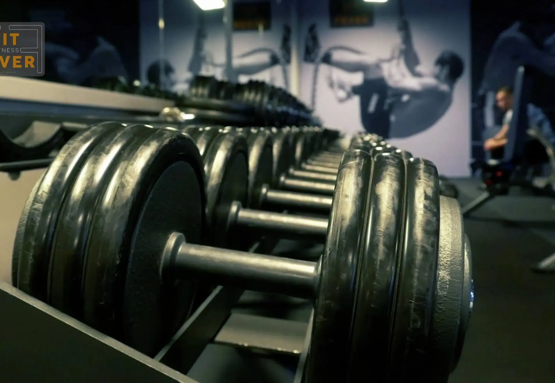 Dumbbell Sportschool Montfoort