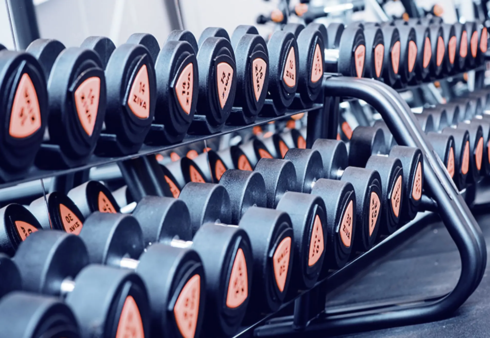 Basic fit sportschool Zeist