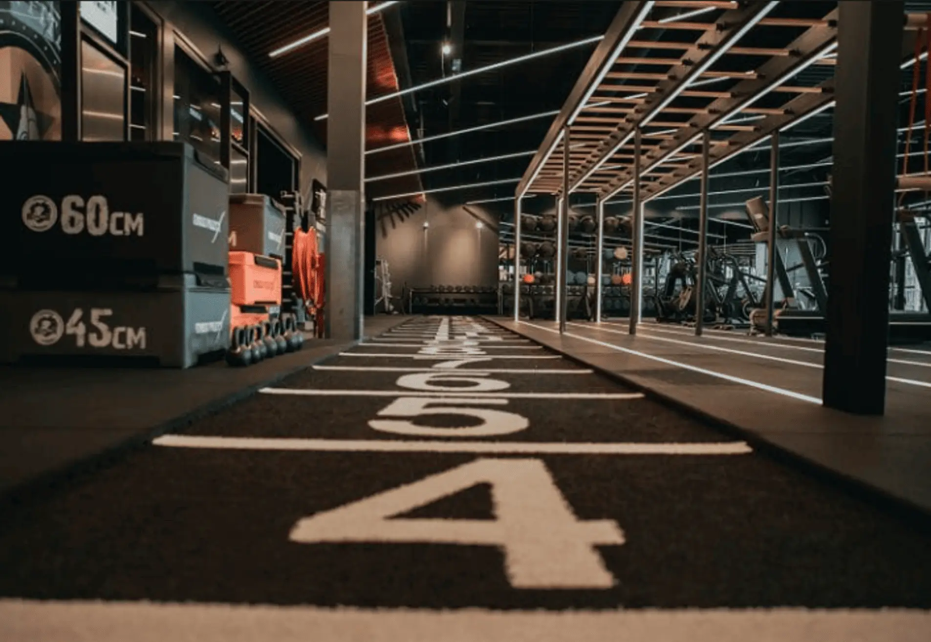 Personal Trainer Utrecht