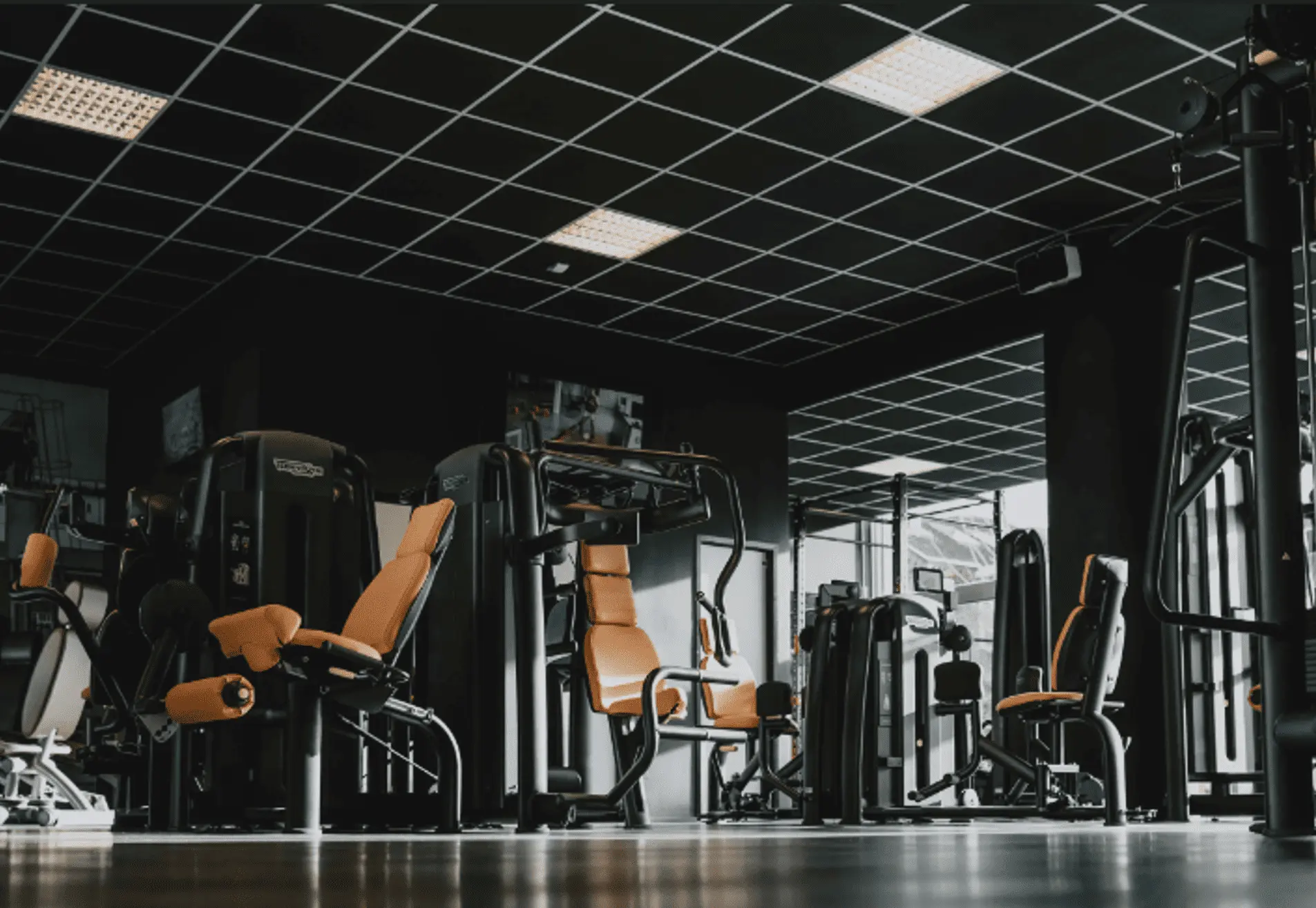 Trainen in Gelderland