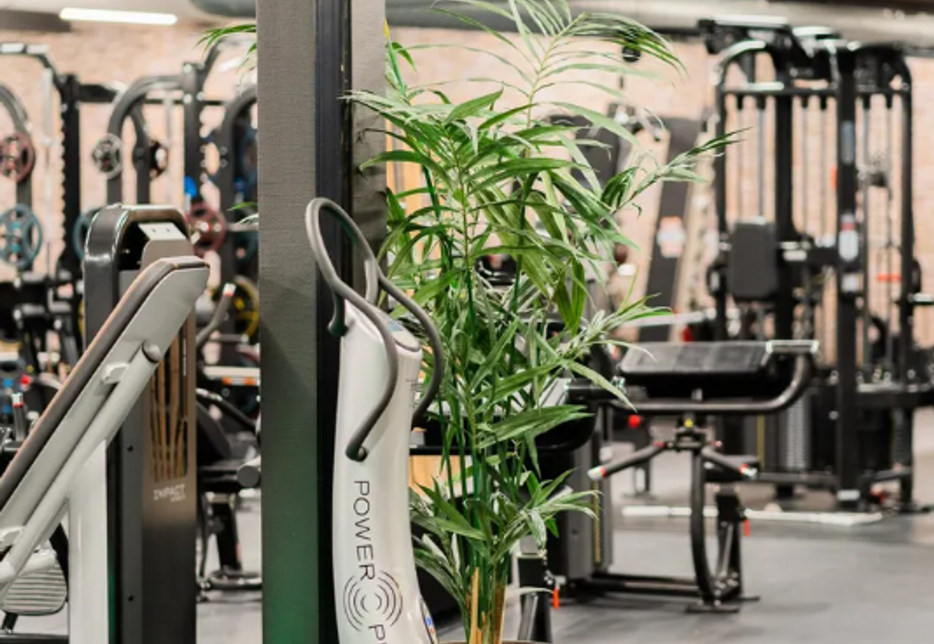 Sportschool Gelderland