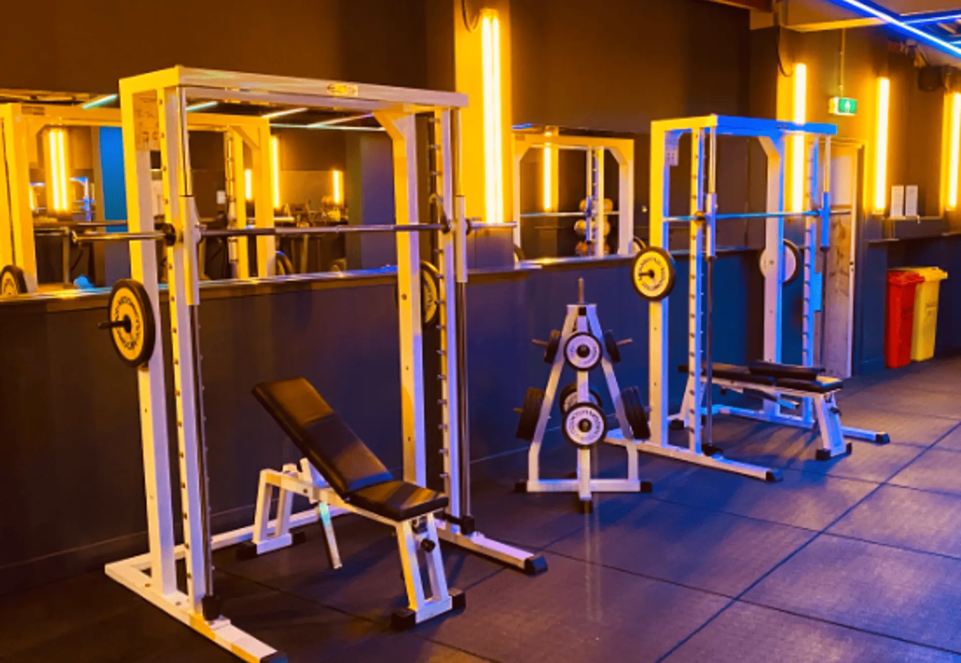 Trainen in Gelderland