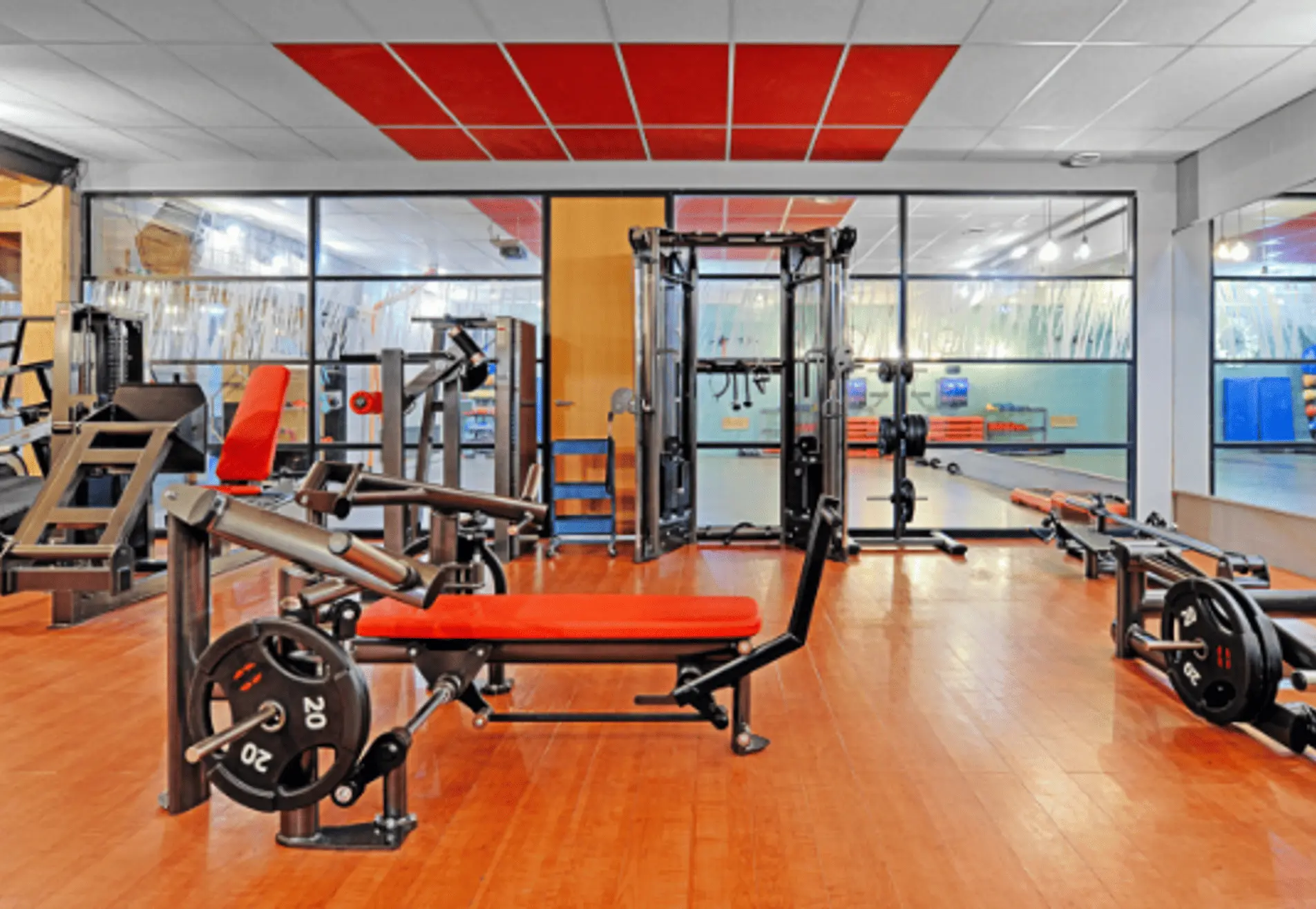 Focus Sport Noord-Brabant