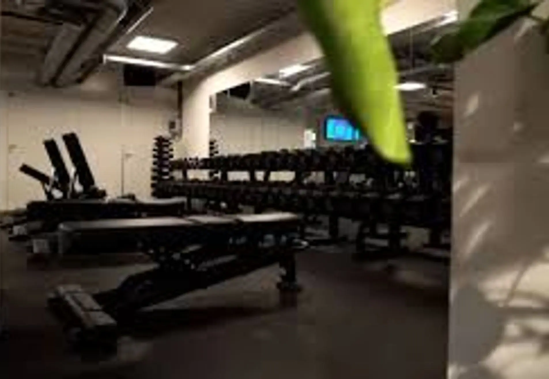 ProFit Gym Fitness Groningen